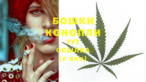 бошки Магас