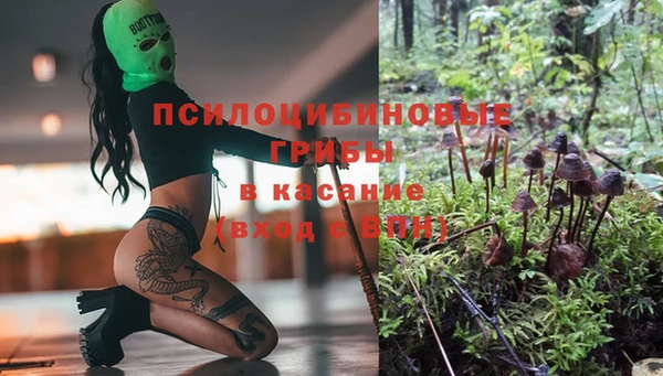 бошки Магас