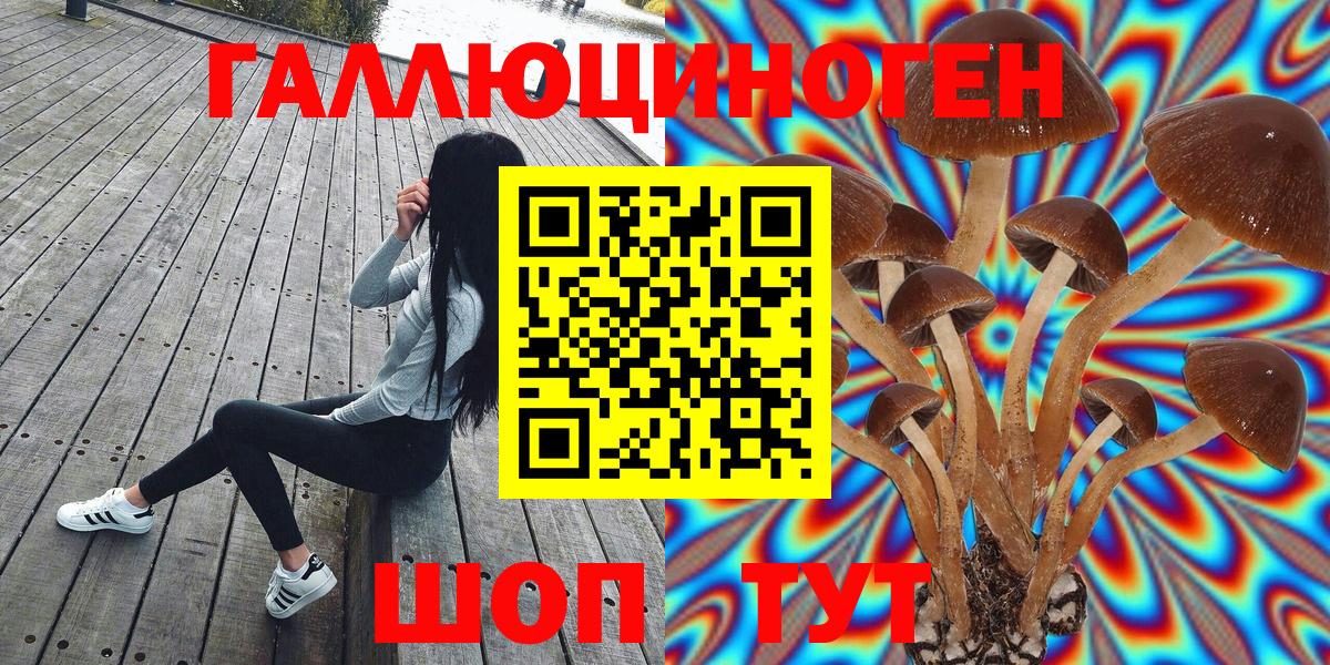 что такое   Нарткала  Псилоцибиновые грибы мухоморы  Галлюциногенные грибы Psilocybe 