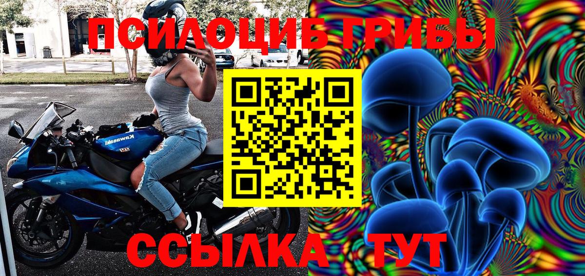 купить   Псилоцибиновые грибы мухоморы  Вход с VPN  Нарткала 
